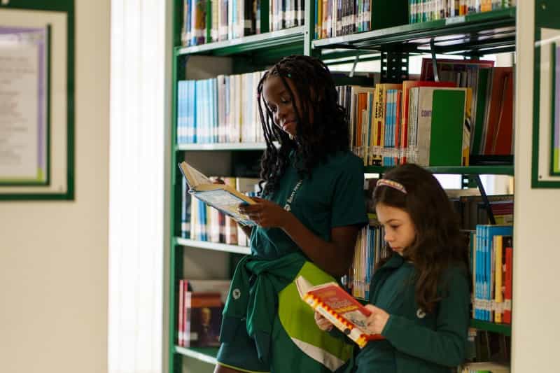 Quer cultivar hábitos de leitura em casa? Descubra 5 pilares do aprendizado e dicas práticas para afastar as telas e aproximar seus filhos dos livros