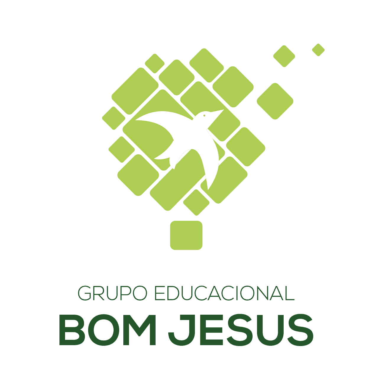logo Grupo Bom Jesus