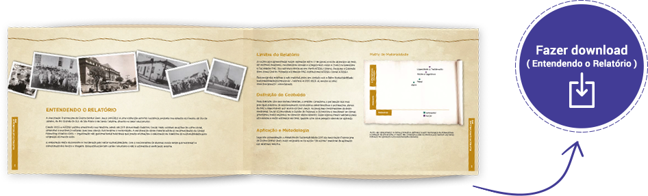 Imagem simulando um botão para realizar o download parcial do Relatório de Sustentabilidade 2015