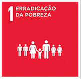 Imagem mostrando os objetivos de desenvolvimento sustentável