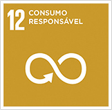 Imagem mostrando os objetivos de desenvolvimento sustentável