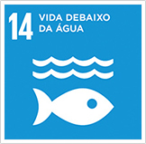 Imagem mostrando os objetivos de desenvolvimento sustentável