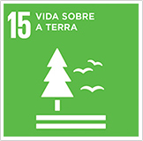 Imagem mostrando os objetivos de desenvolvimento sustentável