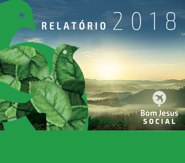 Relatório 2017